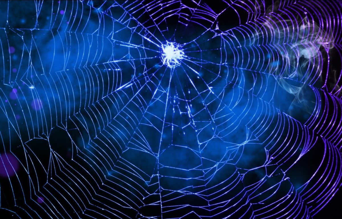 Are You Seeing Spiders All The Time? What Does This Signify?
