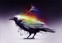 The Meaning Behind The Mysterious Raven Spirit Animal