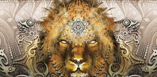 Let The Lionsgate Portal Shower You With Positive Energies And Take Away The Negativity
