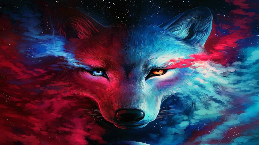 If You Possess 10 Of These 12 Qualities, You Are A True Wolf Among The ...