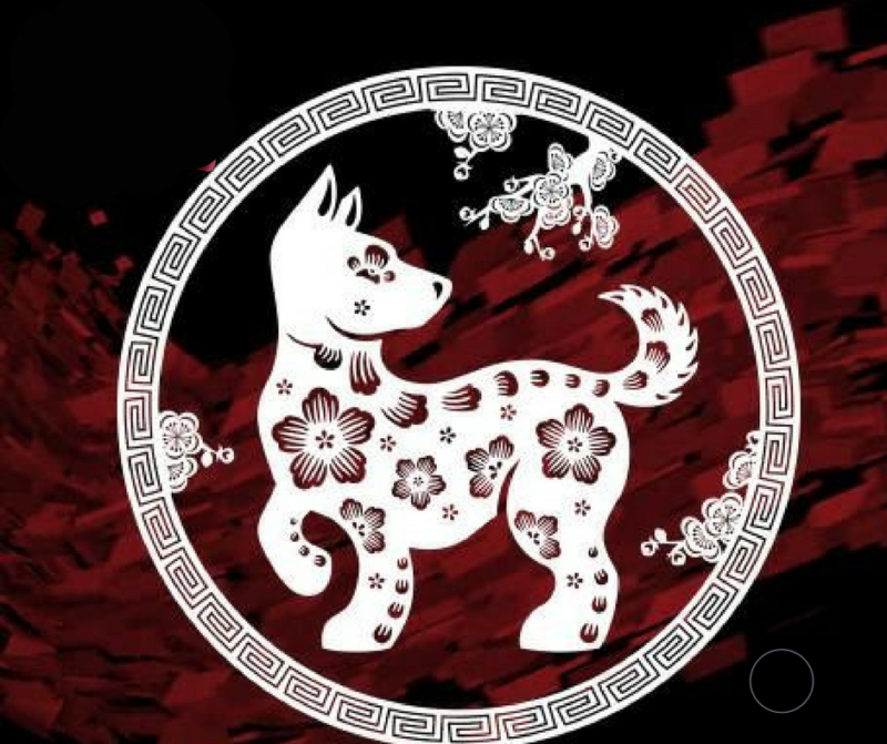 1951 по восточному. Символ 2022 года по восточному. Символы нового года животные. Собака по восточному календарю. Собака (китайский Зодиак).