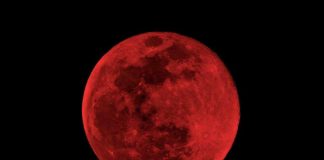 Full Strawberry Moon In Sagittarius: Resolving Personal Conflicts