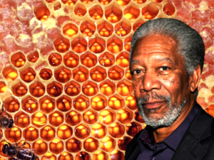 Morgan Freeman Is Now A Beekeeper: He Converts His 124-Acre Ranch Into A Giant Sanctuary To Help Save The Bee Population