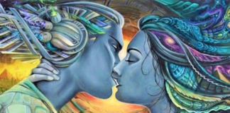 Mirror Souls: Energetic Connections Of The Seven Chakras