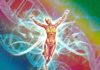 Activation Of The Light Body & Ascension