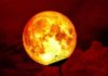 Virgo Super Full Moon, March 9th: Follow The Light