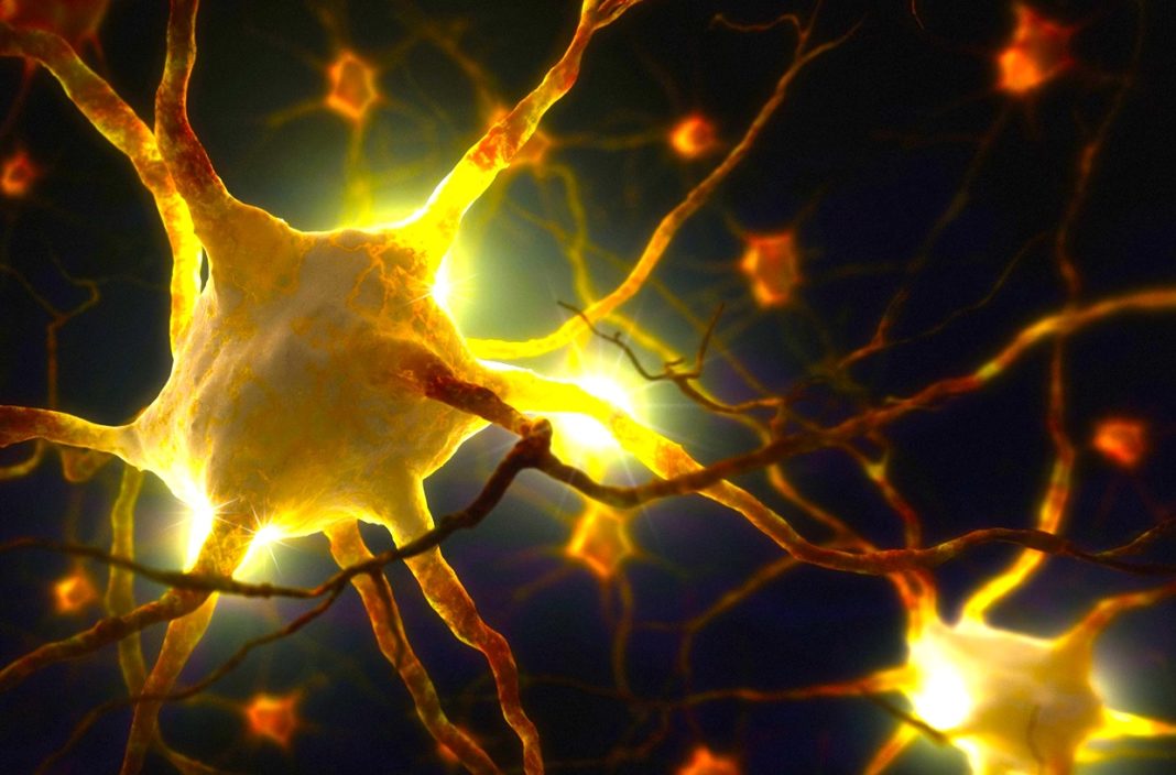 Scientists Discover Biophotons In The Brain That Could Hint Our Consciousness Is Directly Linked To Light!