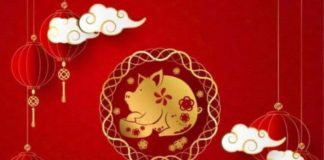 Lunar New Year 2019 Welcomes The Year Of The Pig — Get Ready For Fortune, Financial Flow & Abundance!