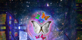 The Spiritual Meaning Of White Butterflies