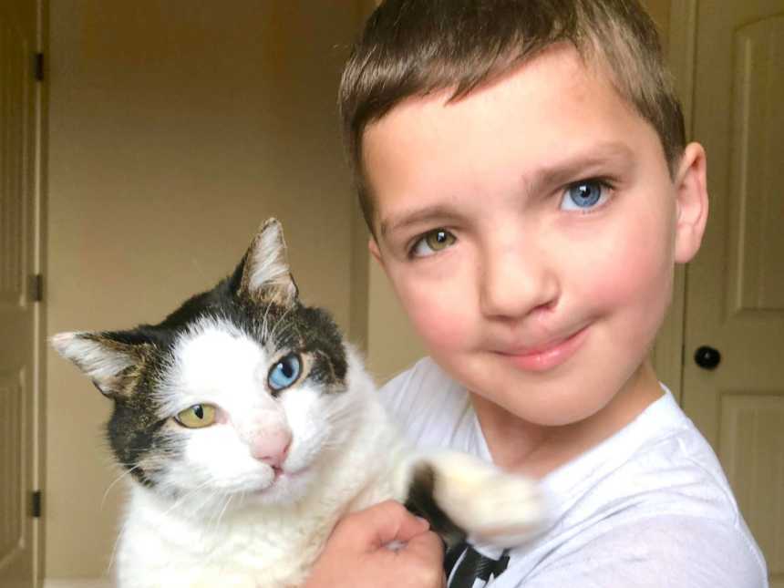 Different-Color-Eyed Boy Adopts A Cat With The Same Condition
