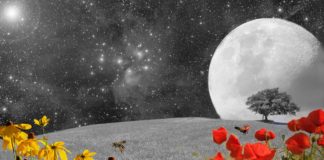 The Impulsive Aries New Moon On April 5th Will Help You Seize The Moment