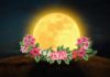 Which 4 Zodiac Signs Will Be Most Affected By Today's Flower SuperMoon?