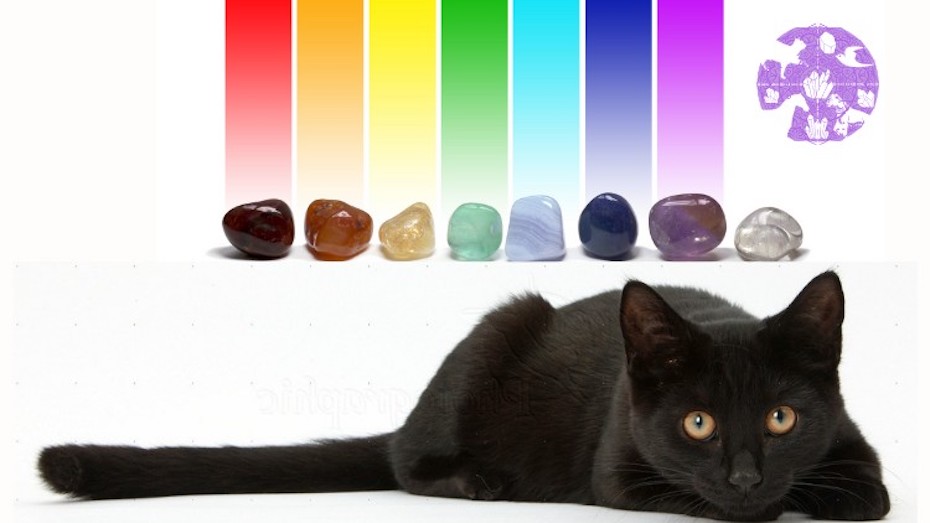 How To Use Crystals On Your Pets To Keep Them Happy & Healthy