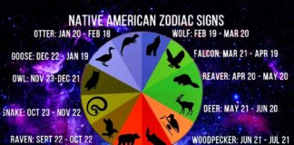 What The Zodiac Of Indigenous Americans Says About You?