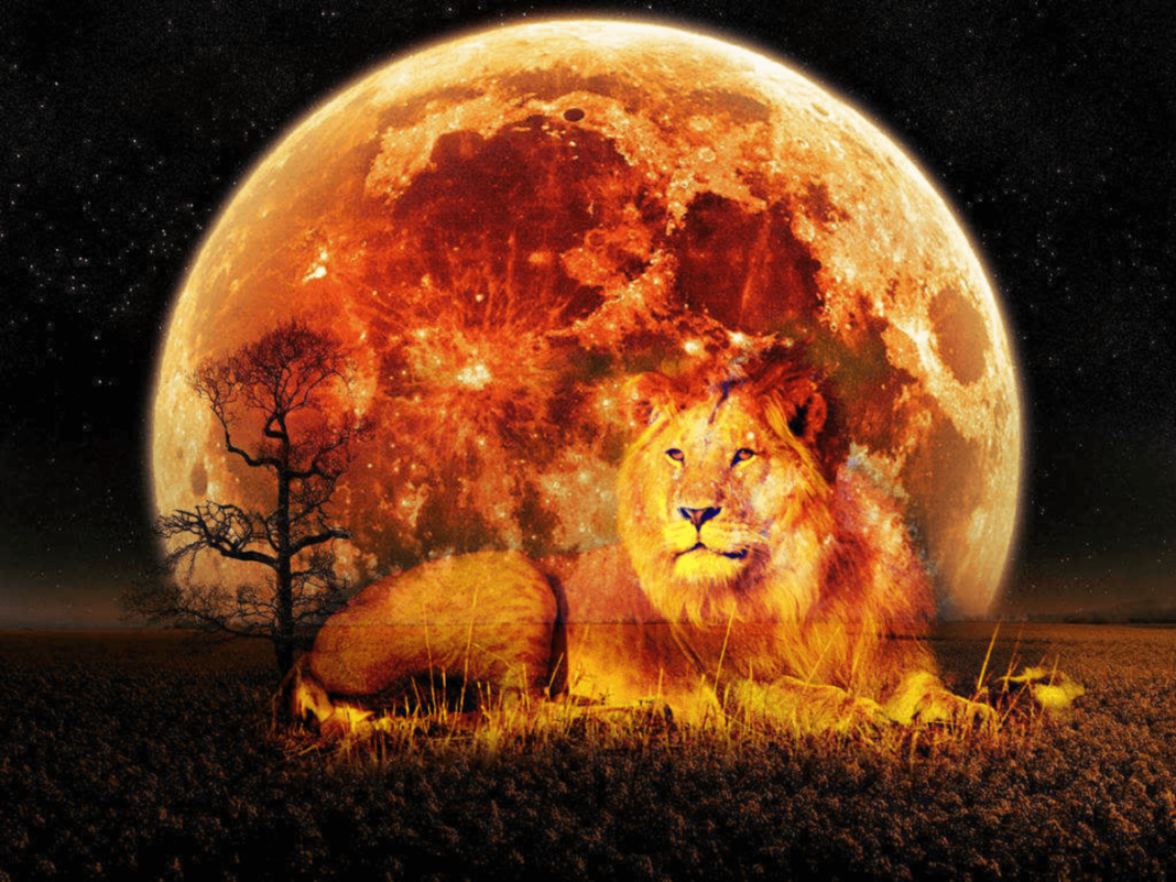 Fiery New Moon In Leo Rises August 18th: Releasing The Shadows