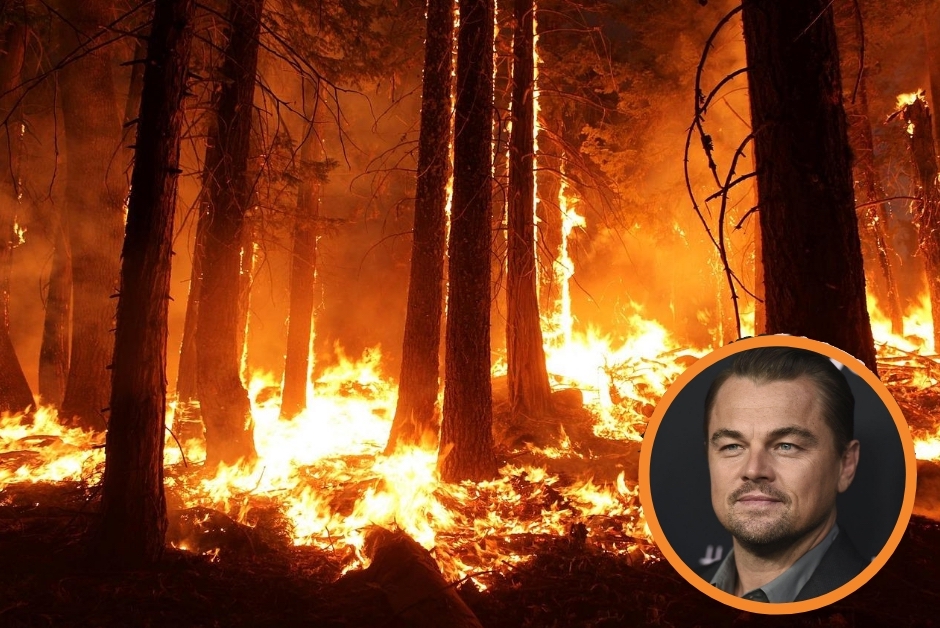 Leonardo DiCaprio Makes An Urgent Call To Save The Amazon Rainforest