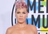P!nk Starts A Kindness Challenge Asking People Not To Criticize Anyone For A Day
