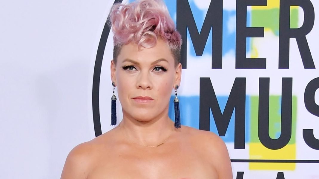 P!nk Starts A Kindness Challenge Asking People Not To Criticize Anyone For A Day