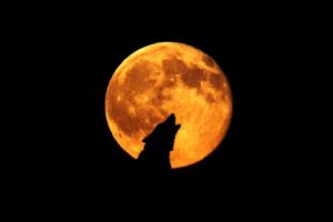 Today's Powerful Wolf Full Moon Eclipse Will Speed Up Your Spiritual Awakening & Help You Release Toxic Energy