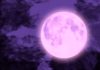 tonights-pink-supermoon-is-the-biggest-and-brightest-of-2020-big-changes-coming
