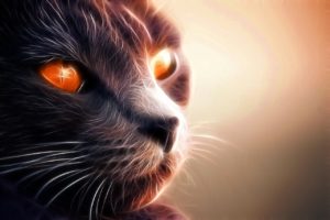 Cats As Spiritual Teachers And Guardians