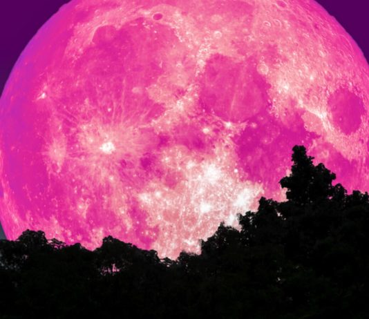 Strawberry Full Moon Is Coming May 5th And It Happens To Be A Lunar Eclipse