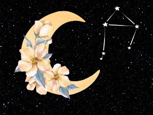 The Spiritual Meaning Of The New Moon And How To Use Its Magical Power