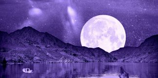 Full Moon Effect: Do Full Moons Make You Feel Worn Out?