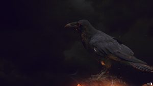 Have You Been Seeing Crows? What Does It Mean - Spiritual Symbolism (More Than Just Death)