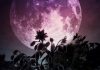 Libra 2022 Full Moon Astrology Forecast
