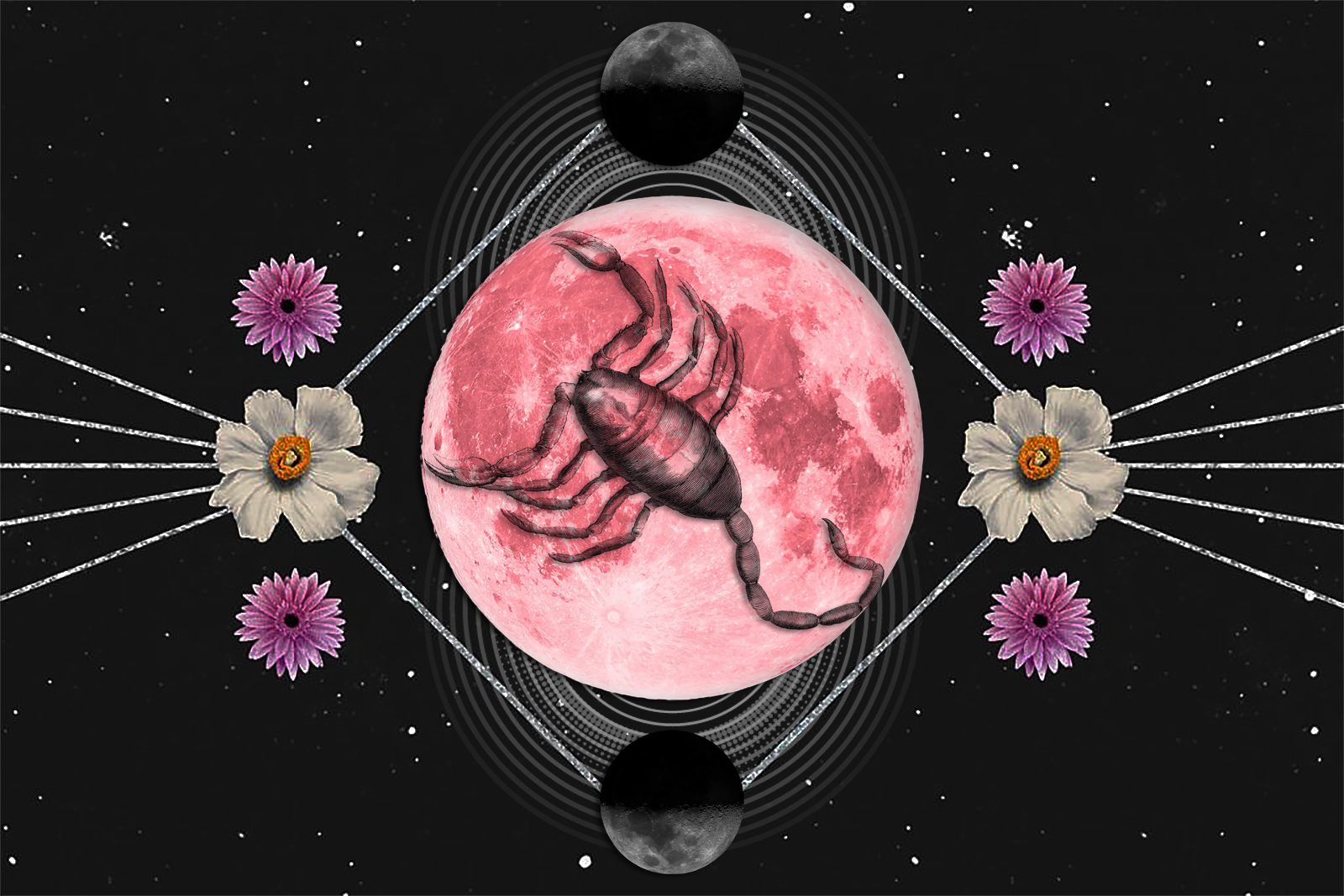 Scorpio Pink Full Moon, April 2024 A Perfect Opportunity to Let Go of