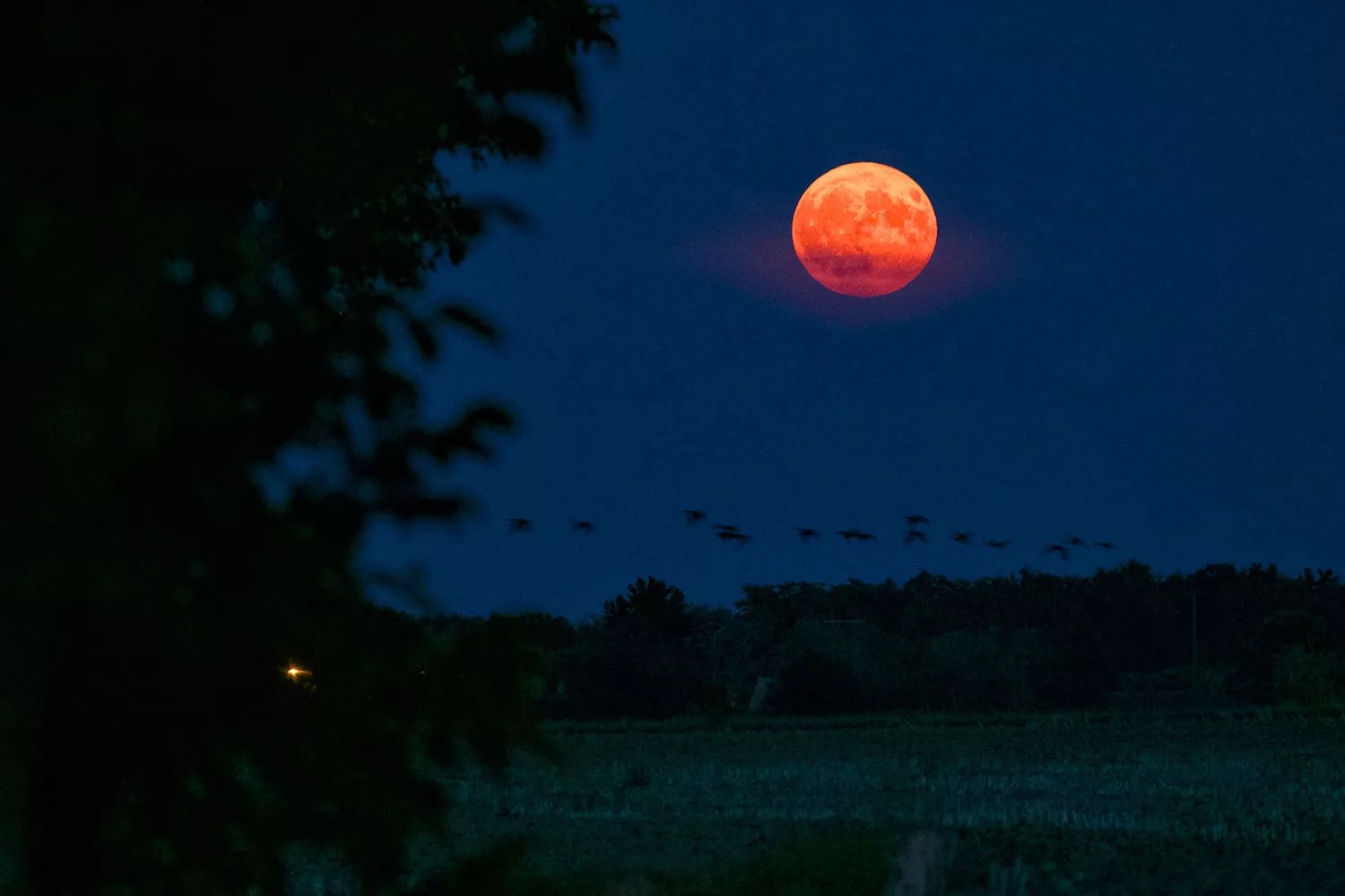 Rare super blue moon in France